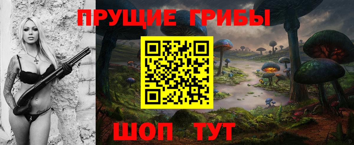 Псилоцибиновые грибы Psilocybe Реж